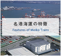Features of Meiko Trans