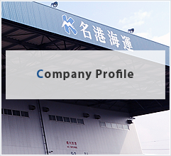 Company Profile