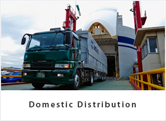 Domestic Distribution